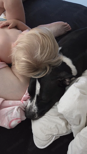luna sucht ein neues zuhuase  Bild 6