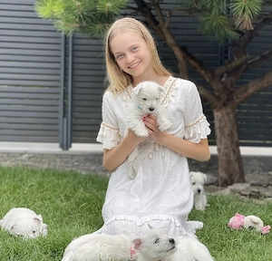Nur noch zwei kleine Westie-Herzen suchen ihre Familie   L-Wurf  Love & Laughter Bild 2