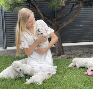 Nur noch zwei kleine Westie-Herzen suchen ihre Familie   L-Wurf  Love & Laughter Bild 3