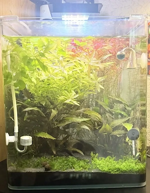 Dennerle   KOMPLETT - Nano Becken 30 ltr. mit viel Zubehör