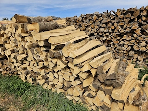 Brennholz   Hartholz   Buche Eiche Ahorn   Lieferung inkl. Bild 3