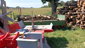 Holz spalten   Lohnspalten Bild 3