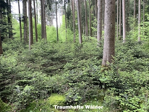 Familiendomizil - Bio-Hofanwesen - Pferdehof - Naturparadies - Oberbayern - München Bild 8