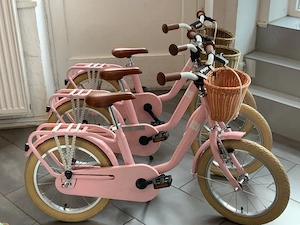 Puky Steel Classic 16 Zoll Kinderfahrrad