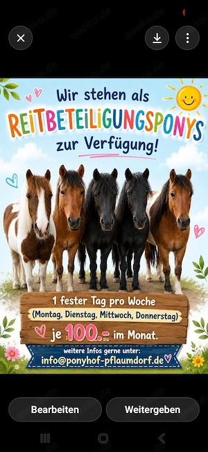 Reitbeteiligung 100  mtl.