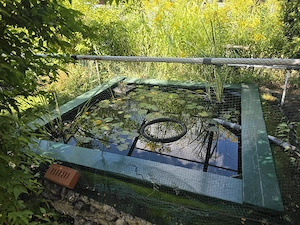verschenke Garten Bild 5