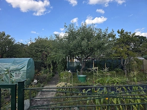 verschenke Garten
