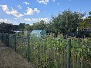 verschenke Garten Bild 2