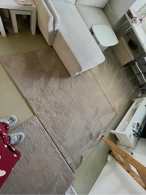 Ecksofa mit Schlaffunktion, Couchtisch und 3 Teppichen Bild 3