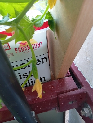 Suche das Abenteuer 