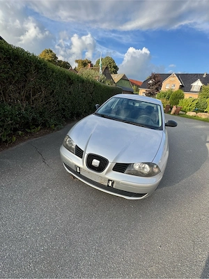 Seat Ibiza 6l 1,4 55kw 75 PS Silber