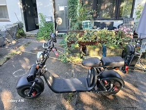 e chopper 
