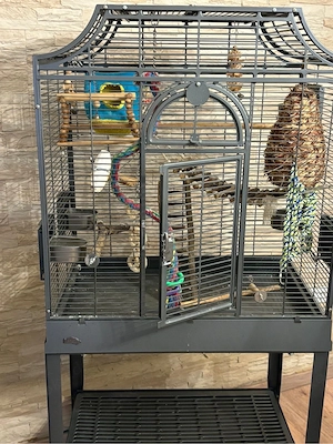 Montana Madeira I Vogelkäfig KOMPLETTSET   mit Futter, Sand, Spielzeug & Zubehör