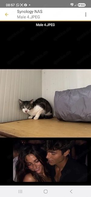 Birk   endlich auf der Suche nach ihrem Zuhause 