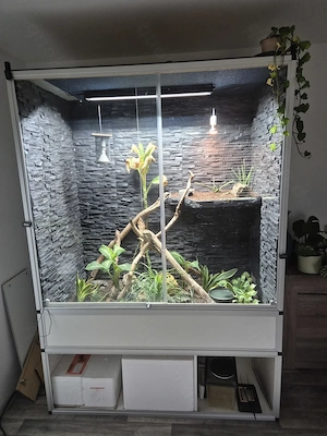 Großes Terrarium  zu verkaufen 