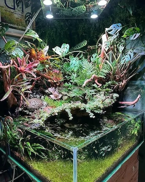 SuperFish, Tetra, Hikari, Tropica, Wurzeln, Steine, Pflanzen  