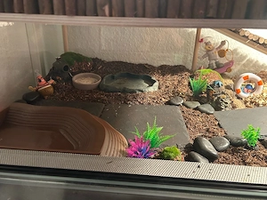    Doppelstöckiges Schildkröten-Terrarium 130x70x60 inkl. Zubehör