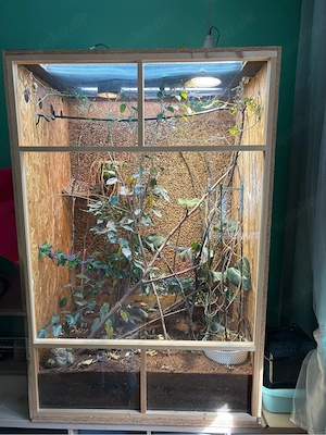Terrarium Holz 100 x 80 x 150