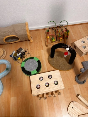 Katzenzubehör Set