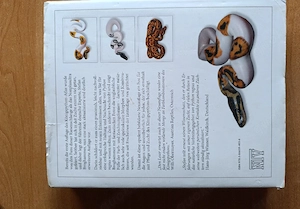 Python regius Atlas der Farbmorphen Pflege und Zucht von Stefan Broghammer