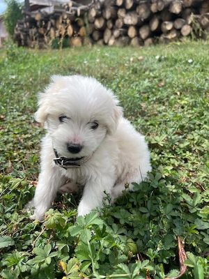 Unsere kleine Schatz 