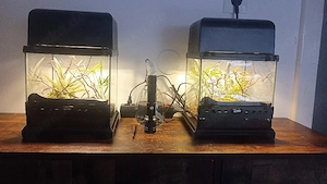 2x Exo Terrarium 