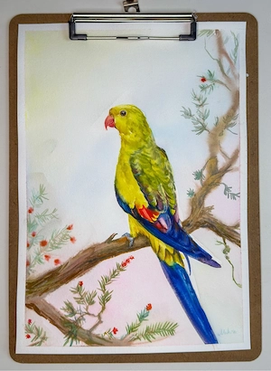 papagei, original gemälde mit aquarell farben große A4