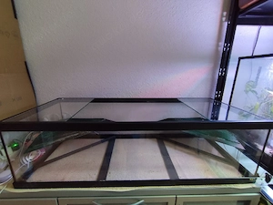 Schildkröten Becken,  Aquarium  Bild 2