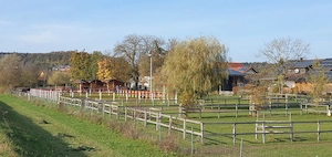 Pferdeboxen frei