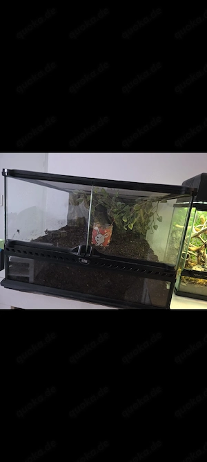Exo Terrar Terarium 45x45x30