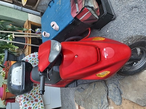 Rex50 - 50 ccm - 2 Takt Roller