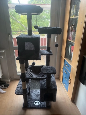 katzenbaum 60 cm zu verkaufen