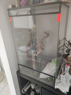 Terrarium hoch