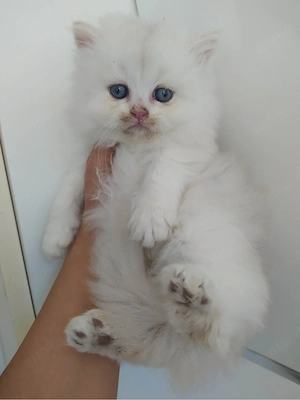 Kerzen, Baby