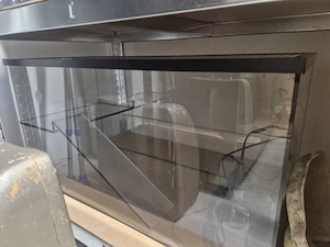 Zwergbartagamen pärchen abzugeben komplettmit 2 Terrarien Bild 3