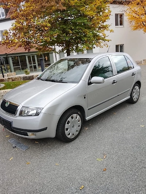 Fabia mit guter Klima 