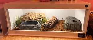 Terrarium 120x60x50 inkl. Kompletter Technik