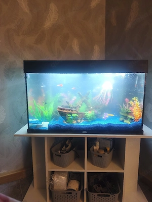 Juwel Aquarium komplett 140 Liter  Bild 2