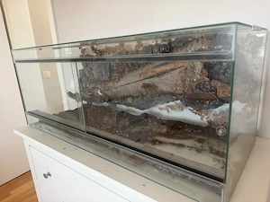 Terrarium Reptilien Käfig 