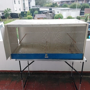 Zuchtbox von Graf 