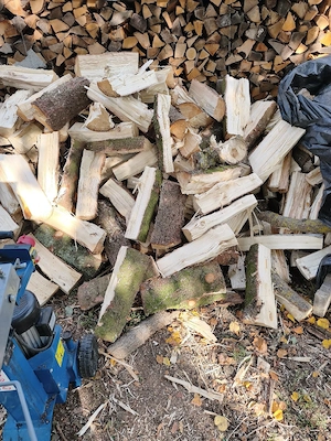 Brennholz abzugeben 