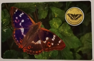 Goldmünze in Coincard "Apatura Iris" .999er Gold, 1 1000 oz Auflage nur 50.000 Stück!