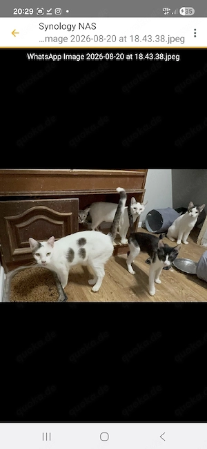 Beth   endlich auf der Suche nach ihrem Zuhause 