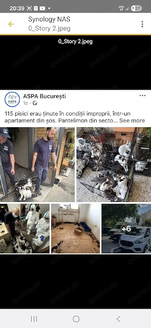 Beeke   endlich auf der Suche nach ihrem Zuhause 