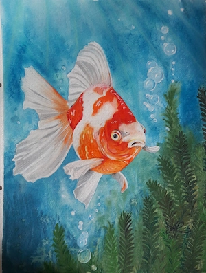 2 handgemalte Goldfisch-Aquarelle günstig zu verkaufen! Bild 2