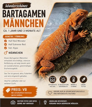 bartagame 