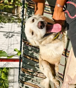 Albi, 2 Jahre, 65 cm