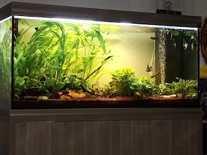 700 Liter Aquarium 