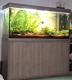 700 Liter Aquarium  Bild 5