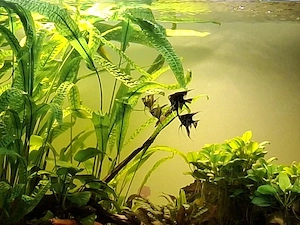 700 Liter Aquarium 